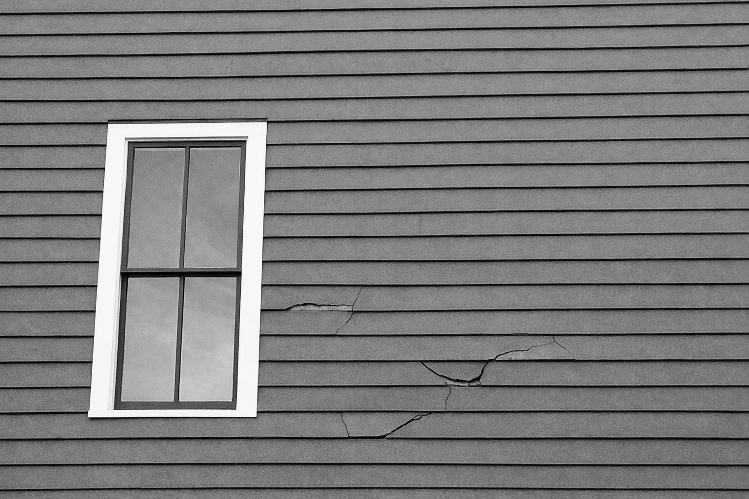 bd71da84-29d7-413d-addb-491b43f74502 bd71da84-29d7-413d-addb-491b43f74502